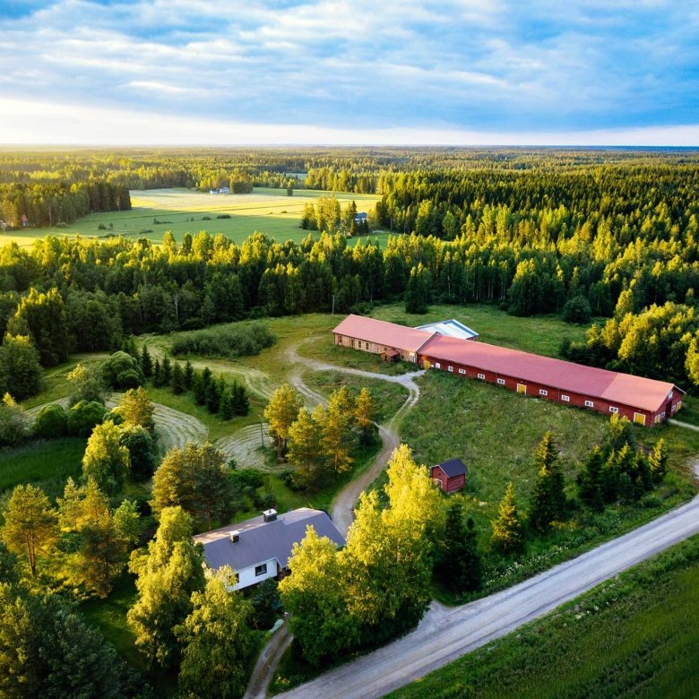 Cómo Saber si una Parcela Es Buena para Construir una Casa o Cabaña