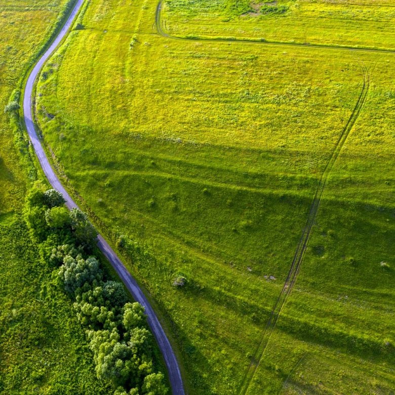 Qué Debes Revisar Antes de Comprar una Parcela en Chile